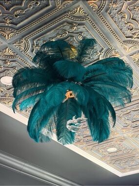 Brand new in box gorgeous feather light